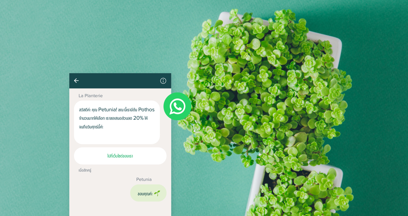 WhatsApp Business คืออะไร เข้าใจความแตกต่างระหว่าง WhatsApp และ WhatsApp Business