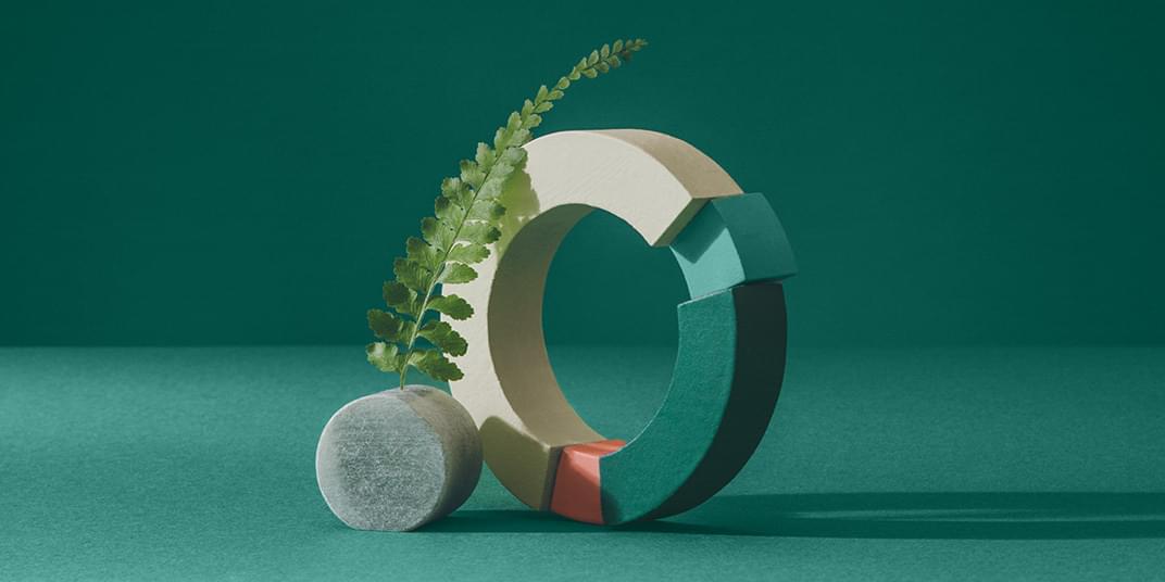 A plant and two circular objects sit in front of a green background.