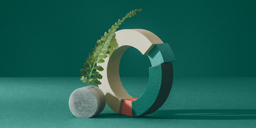 An image about AI for customer experience shows circular shapes and a leafy plant. 