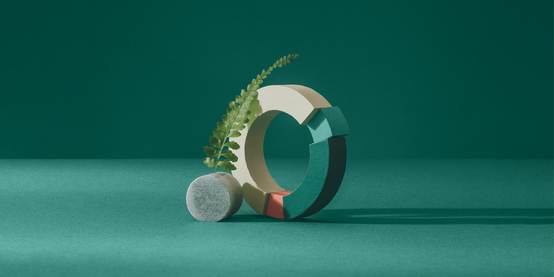 A circular structure sits next to a fern.