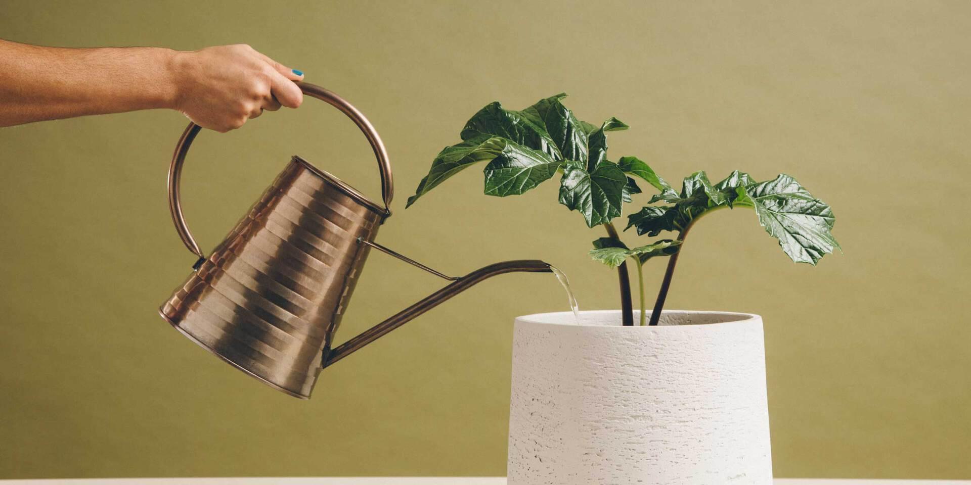 fluxo de nutrição de leads