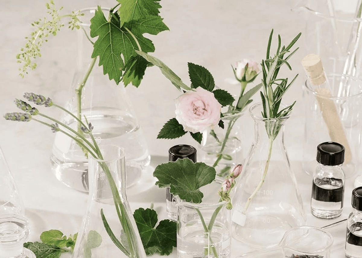 Glass beakers filled with fresh greens and flowers against a white background