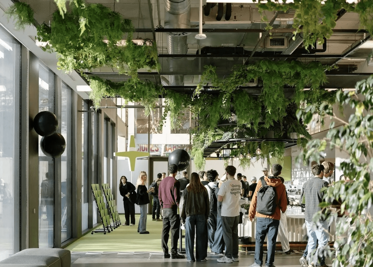 Perk employees mingling at an office event with lots of ferns hanging overhead