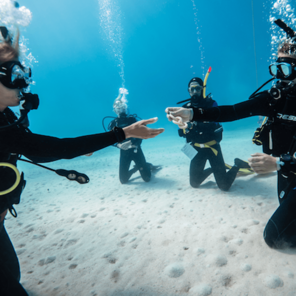 Utila Dive Center