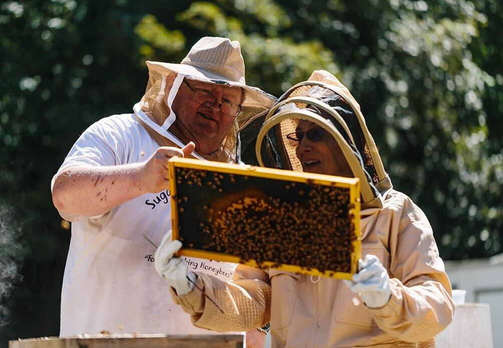 Veterans use beekeeping to improve well being - VA News