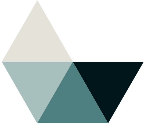 Logo: Asolvi