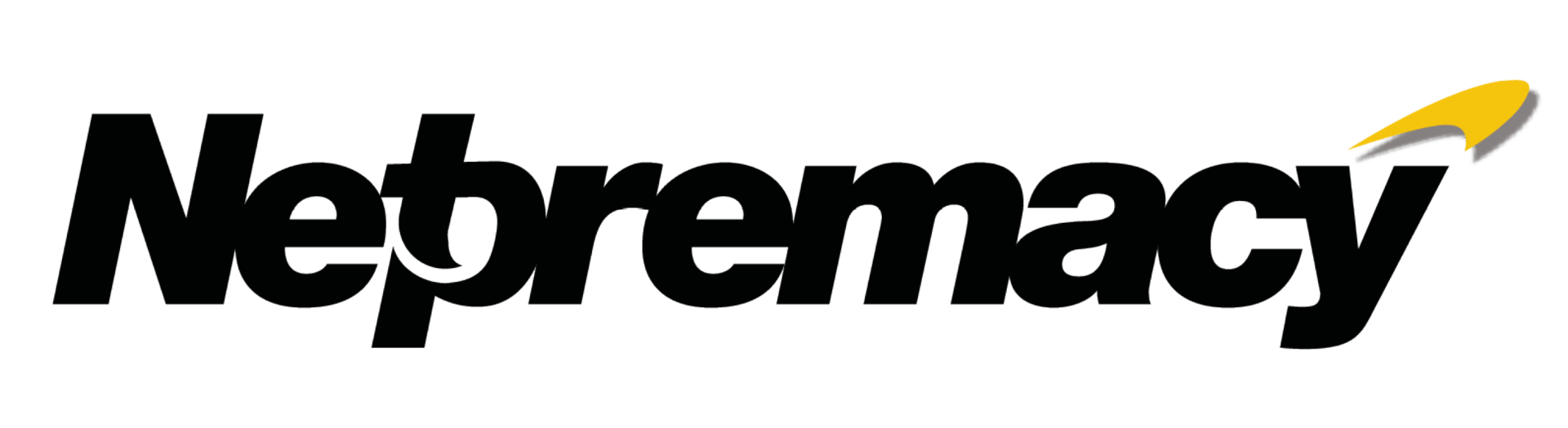 Logo: Netpremacy