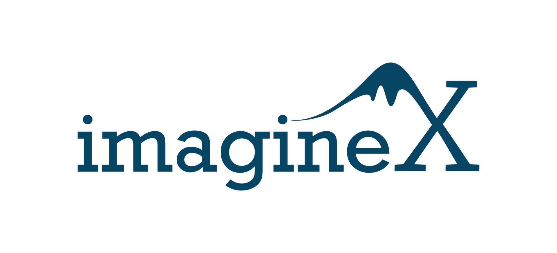 ImagineX 